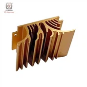 বিশেষ আকৃতির অ্যালুমিনিয়াম হিট সিঙ্ক এক্সট্রুশন